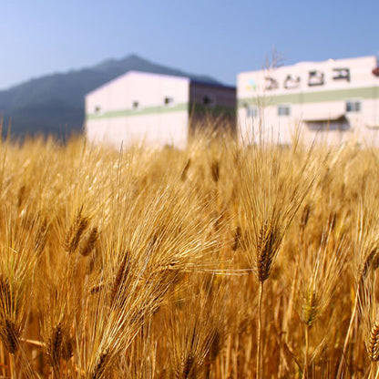 유기농 순한 보리차 (국산) - 아기, 임산부도 안심하고 마시는 우리 가족 건강차